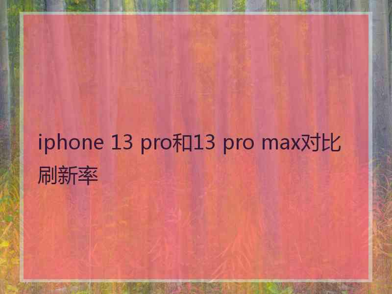 iphone 13 pro和13 pro max对比刷新率