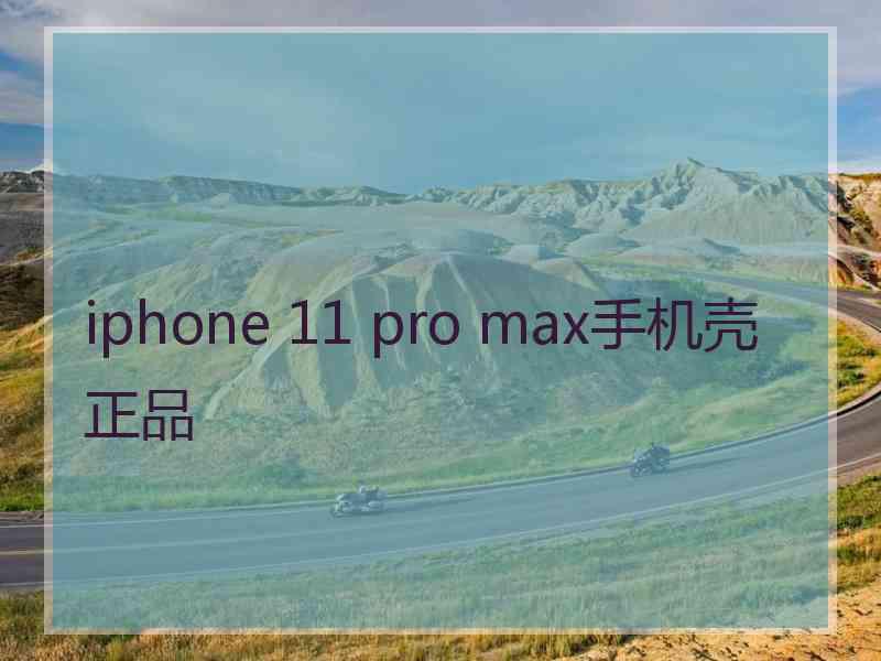 iphone 11 pro max手机壳正品