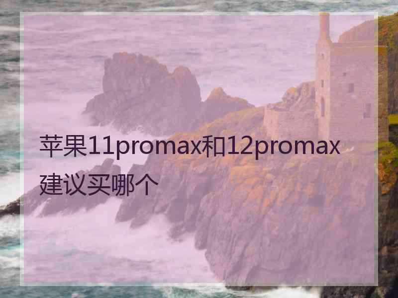 苹果11promax和12promax建议买哪个