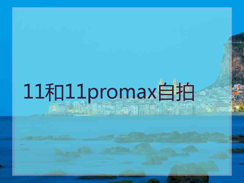 11和11promax自拍