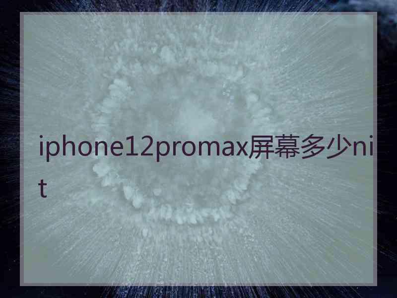 iphone12promax屏幕多少nit