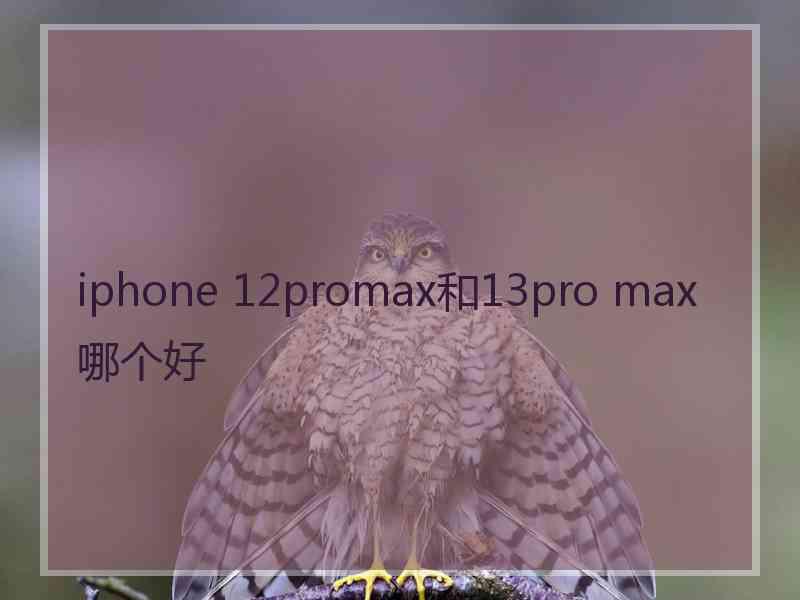 iphone 12promax和13pro max哪个好