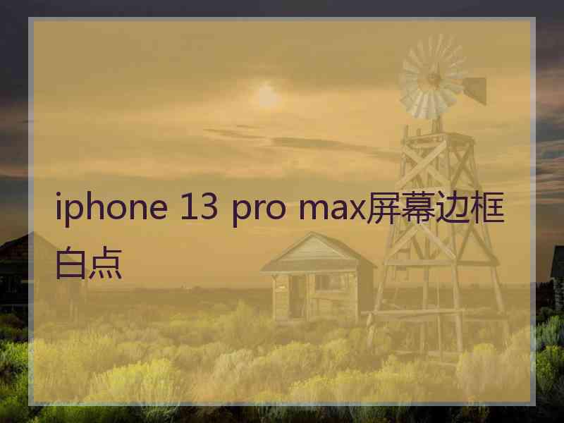 iphone 13 pro max屏幕边框白点