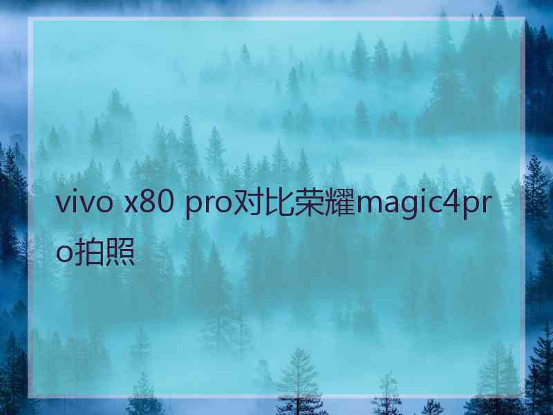 vivo x80 pro对比荣耀magic4pro拍照