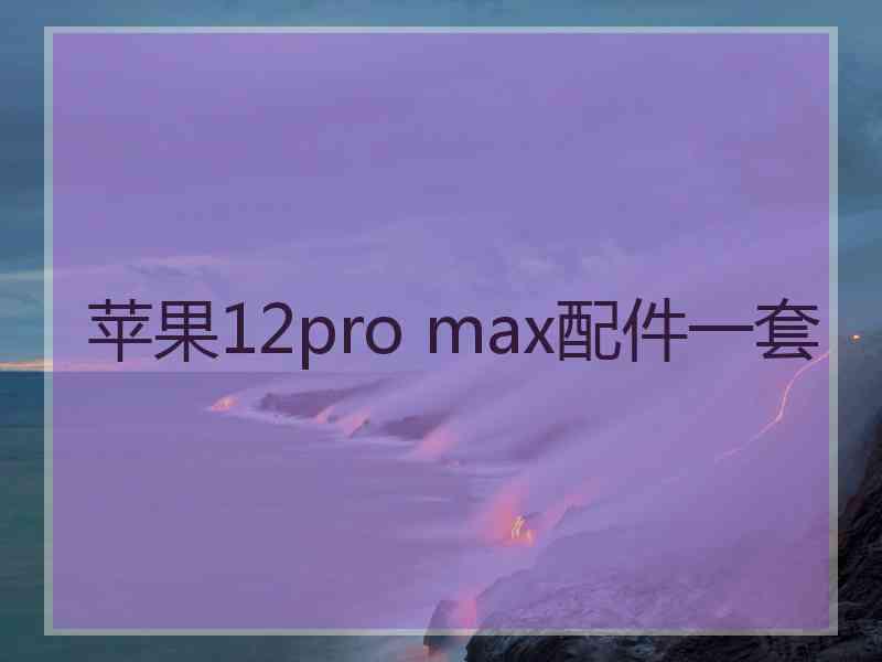 苹果12pro max配件一套