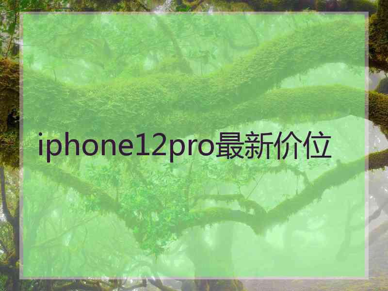 iphone12pro最新价位