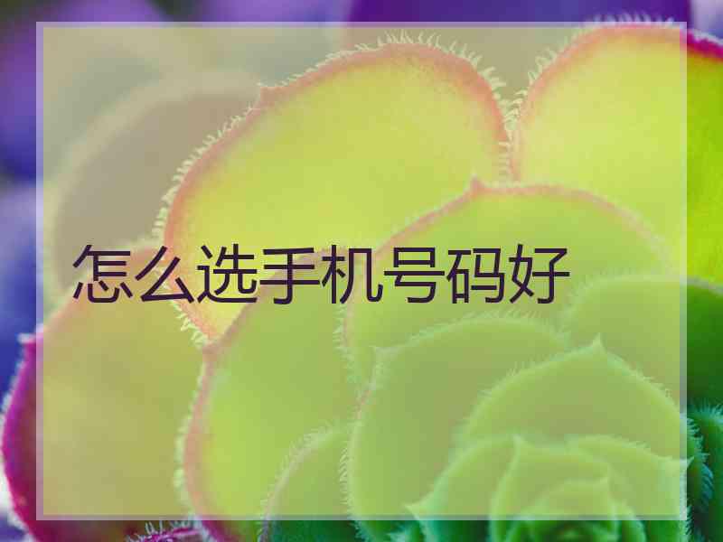 怎么选手机号码好