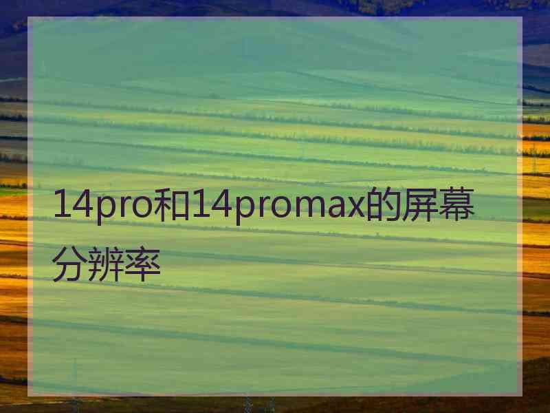 14pro和14promax的屏幕分辨率