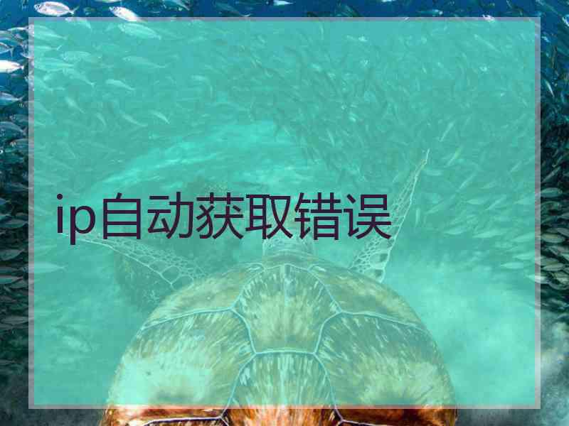 ip自动获取错误