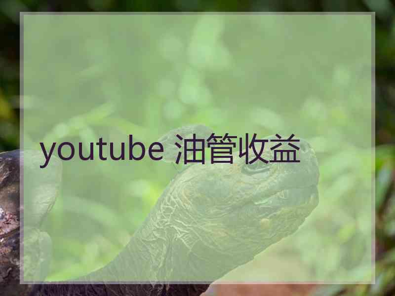 youtube 油管收益