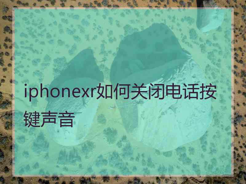 iphonexr如何关闭电话按键声音