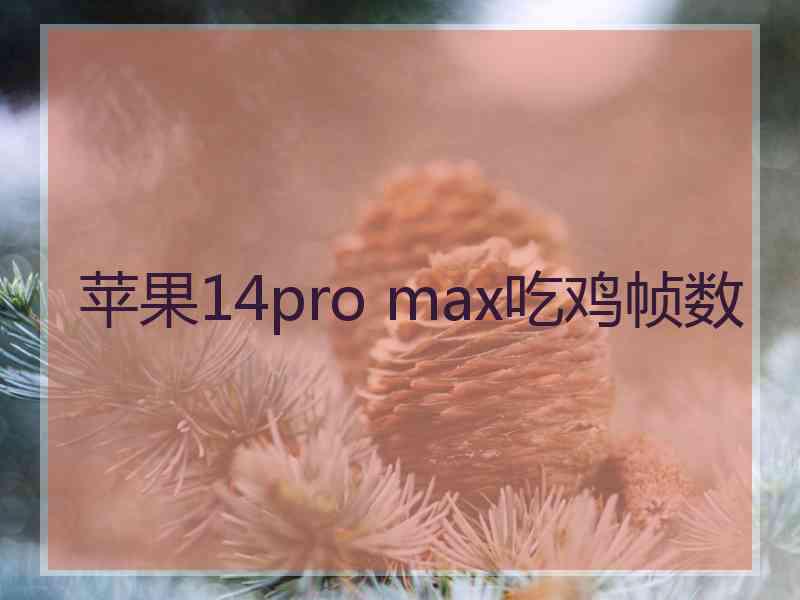 苹果14pro max吃鸡帧数