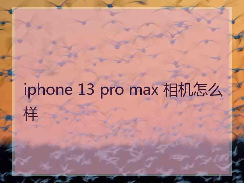 iphone 13 pro max 相机怎么样