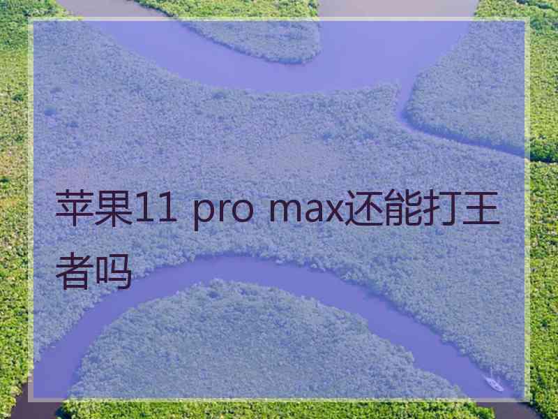 苹果11 pro max还能打王者吗