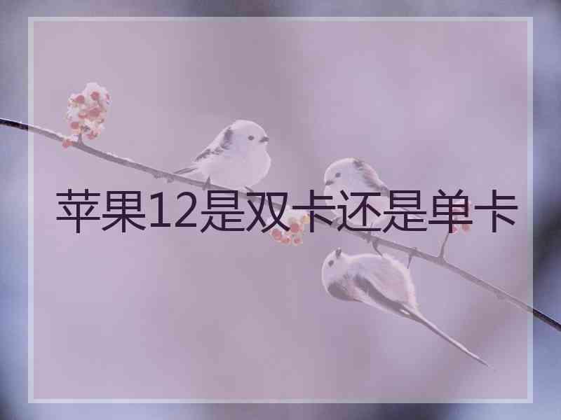 苹果12是双卡还是单卡