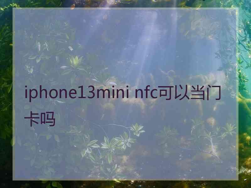 iphone13mini nfc可以当门卡吗