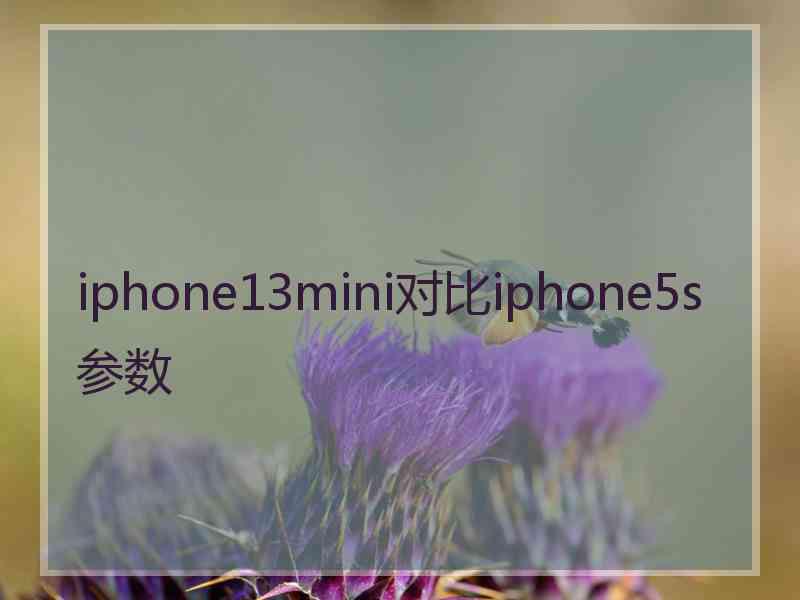 iphone13mini对比iphone5s参数