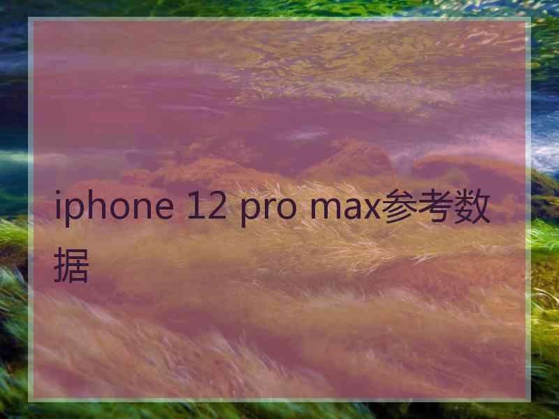 iphone 12 pro max参考数据