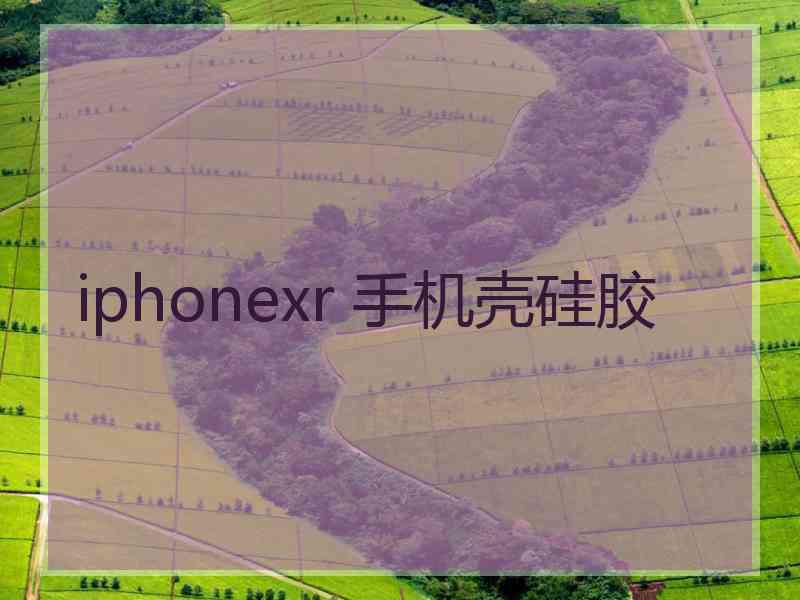 iphonexr 手机壳硅胶