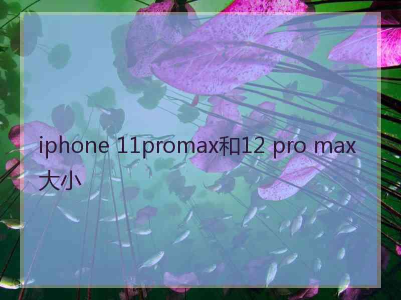 iphone 11promax和12 pro max大小