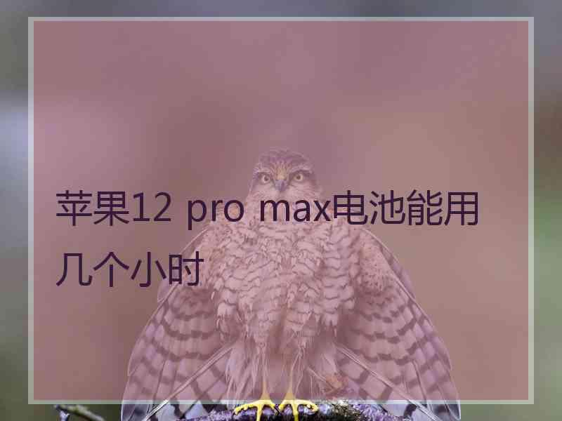 苹果12 pro max电池能用几个小时