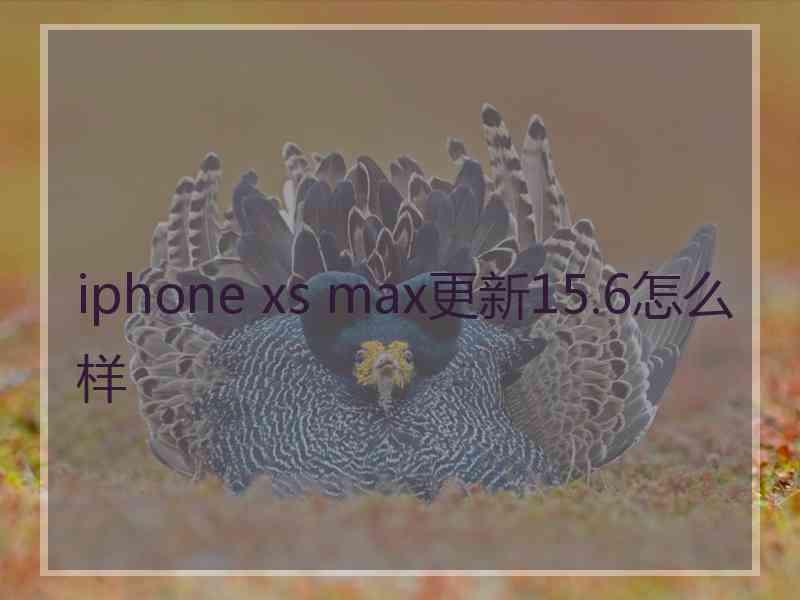 iphone xs max更新15.6怎么样