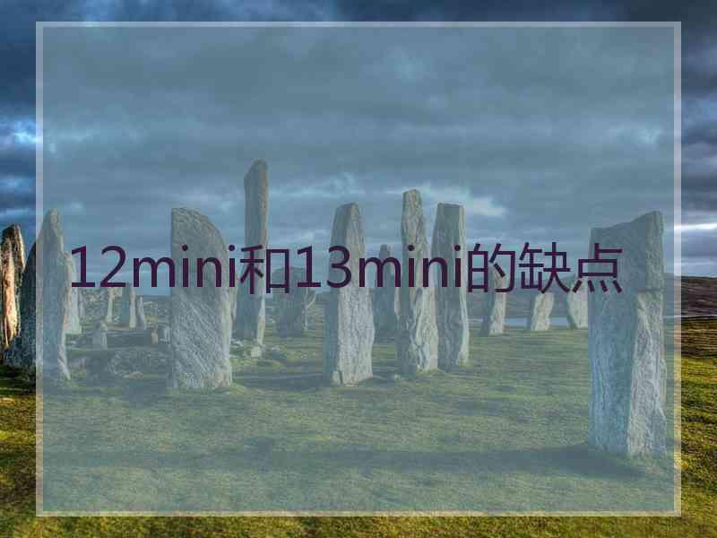 12mini和13mini的缺点