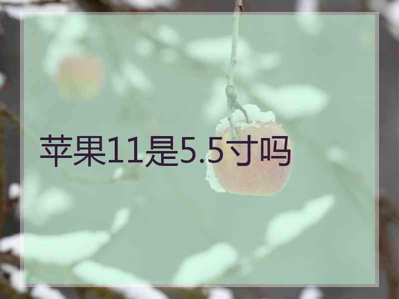 苹果11是5.5寸吗