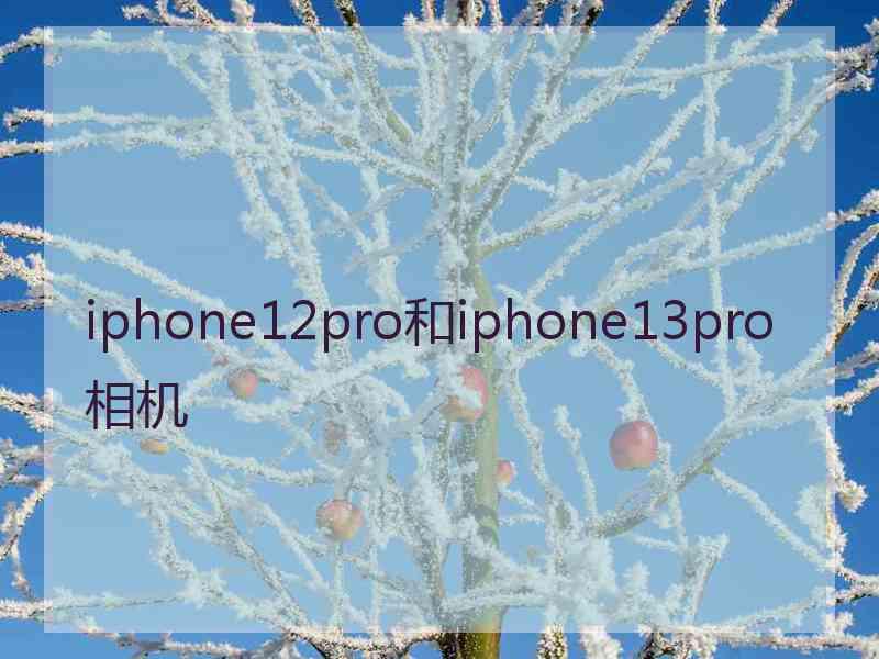 iphone12pro和iphone13pro相机