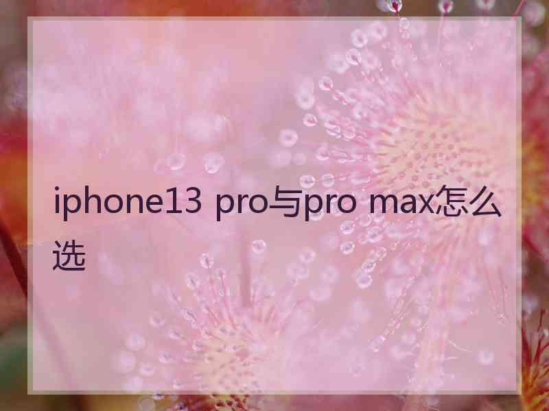 iphone13 pro与pro max怎么选