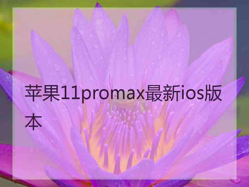 苹果11promax最新ios版本