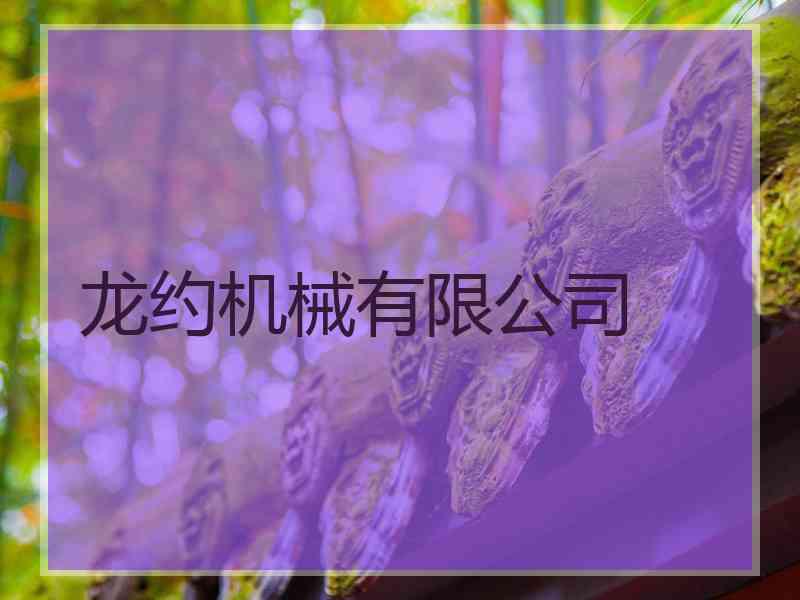 龙约机械有限公司