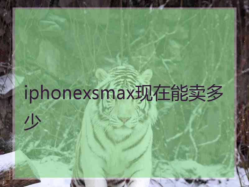 iphonexsmax现在能卖多少