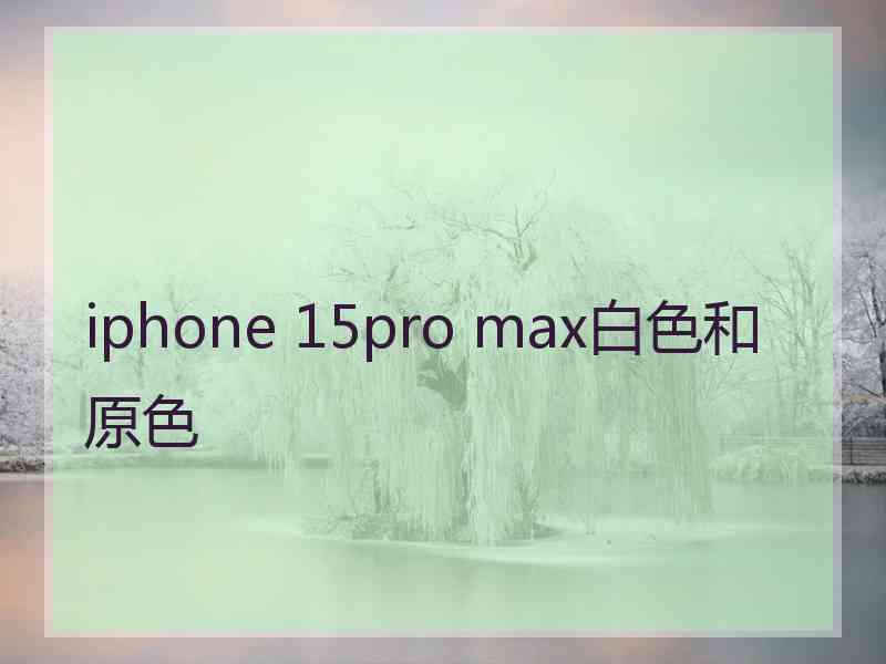 iphone 15pro max白色和原色