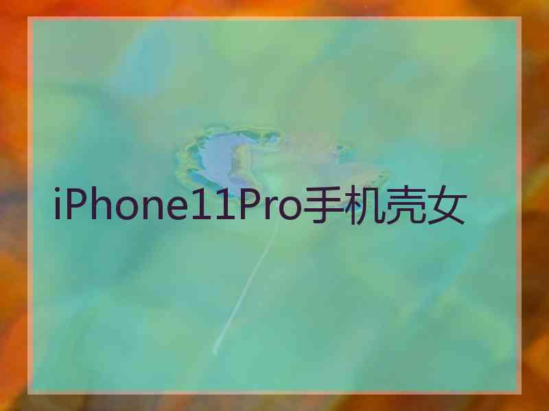 iPhone11Pro手机壳女