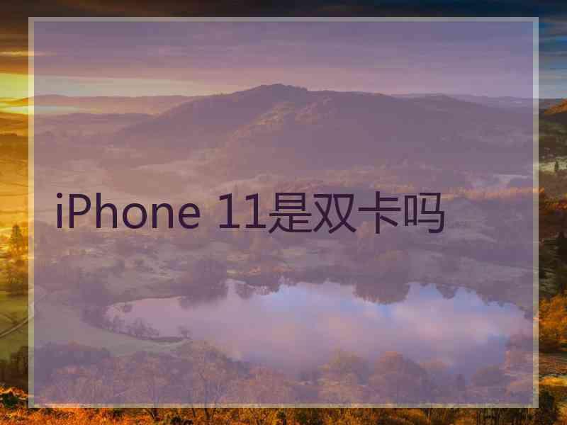 iPhone 11是双卡吗