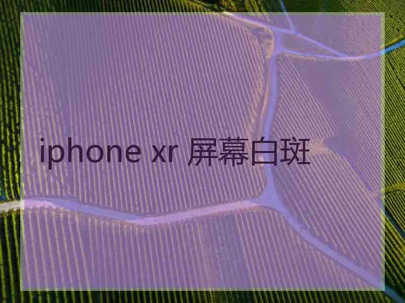 iphone xr 屏幕白斑