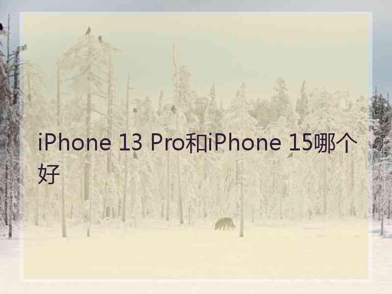 iPhone 13 Pro和iPhone 15哪个好