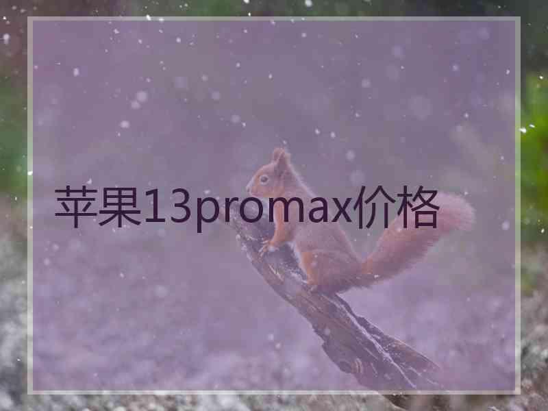 苹果13promax价格