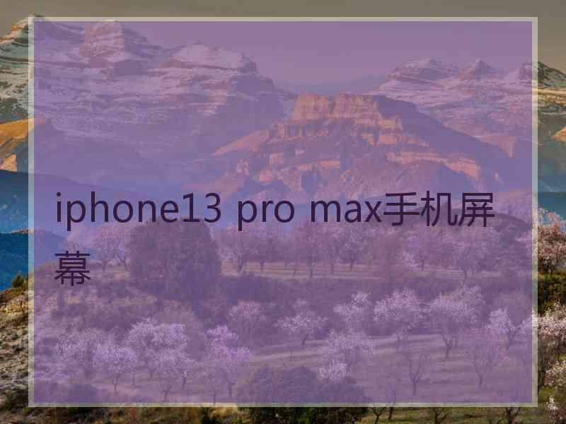 iphone13 pro max手机屏幕