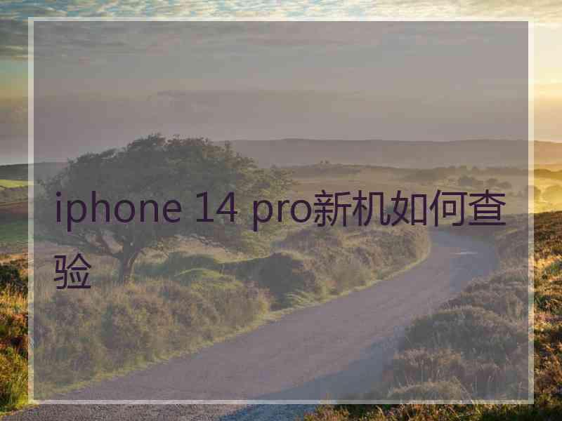 iphone 14 pro新机如何查验