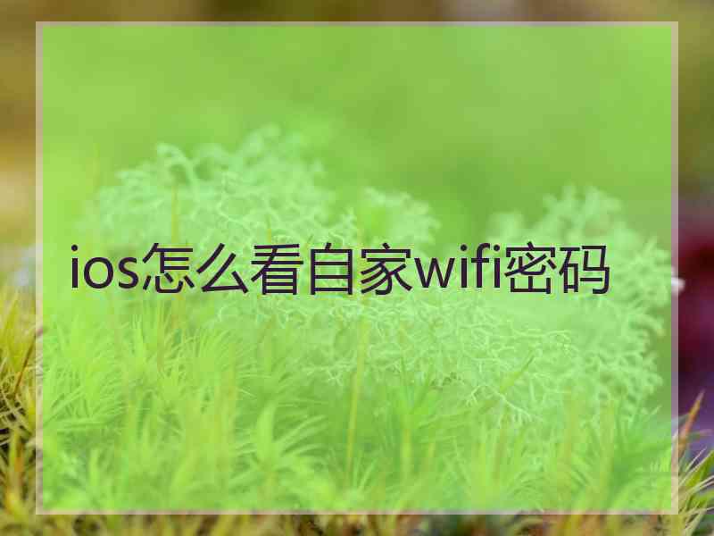 ios怎么看自家wifi密码