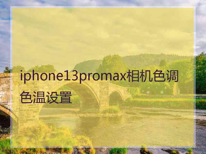 iphone13promax相机色调色温设置