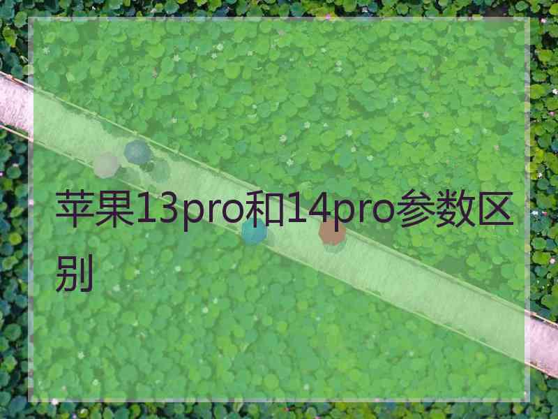 苹果13pro和14pro参数区别