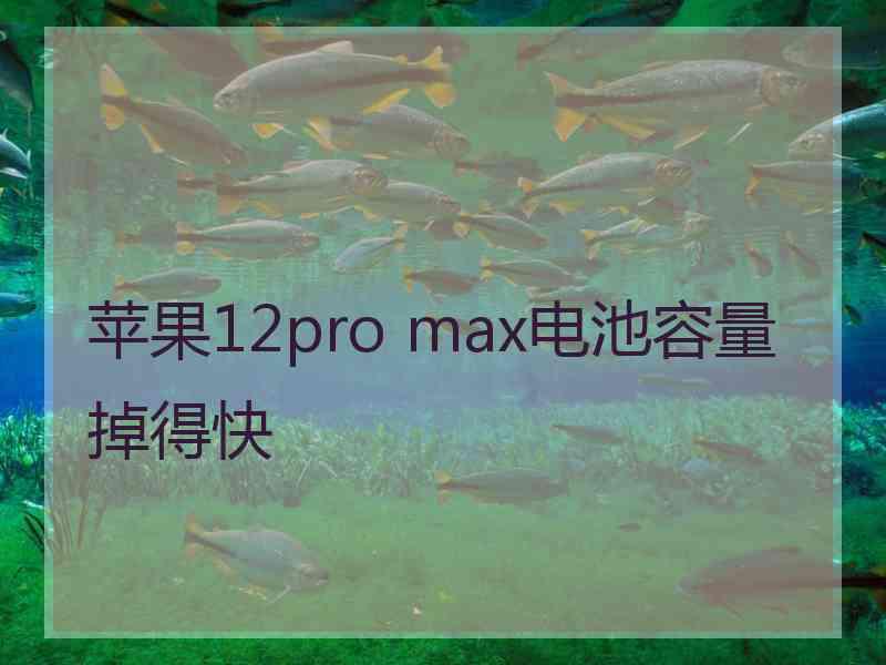 苹果12pro max电池容量掉得快