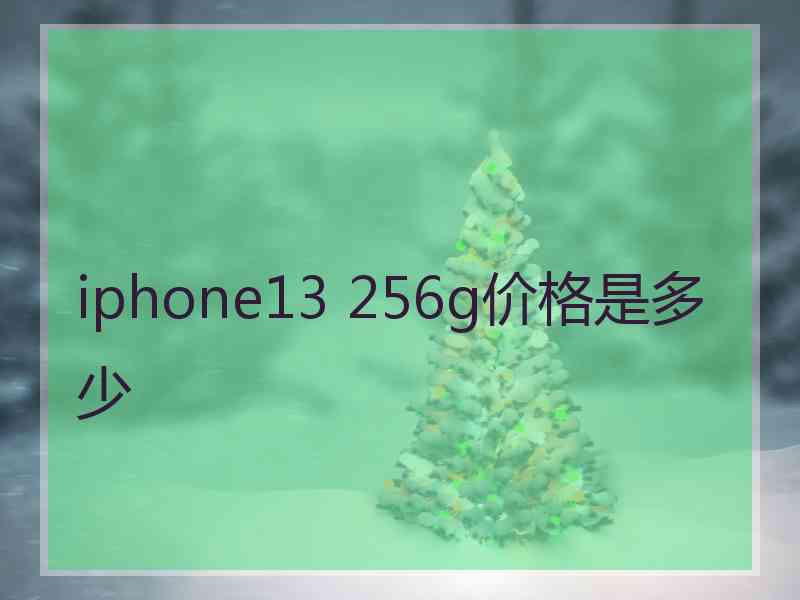 iphone13 256g价格是多少