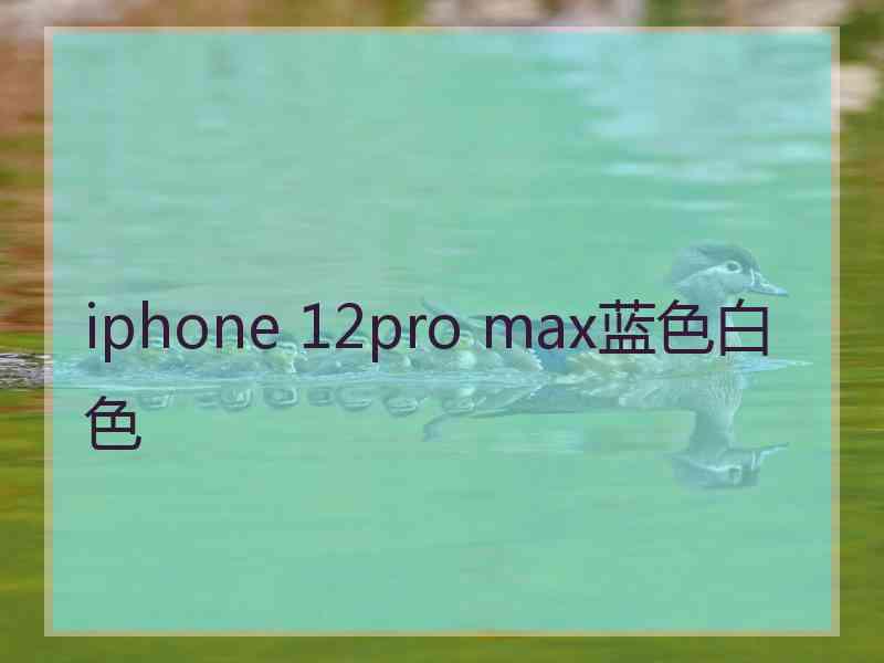 iphone 12pro max蓝色白色