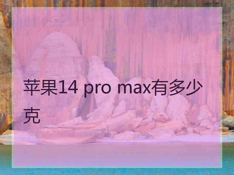 苹果14 pro max有多少克