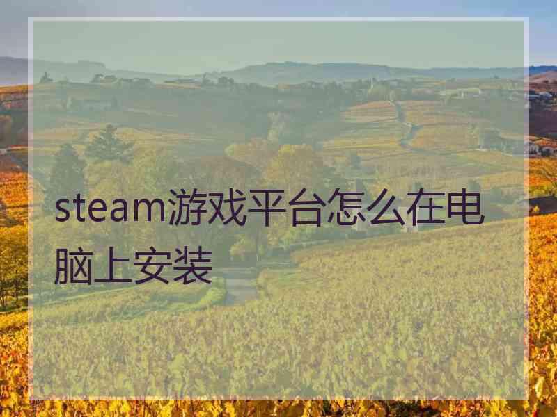 steam游戏平台怎么在电脑上安装