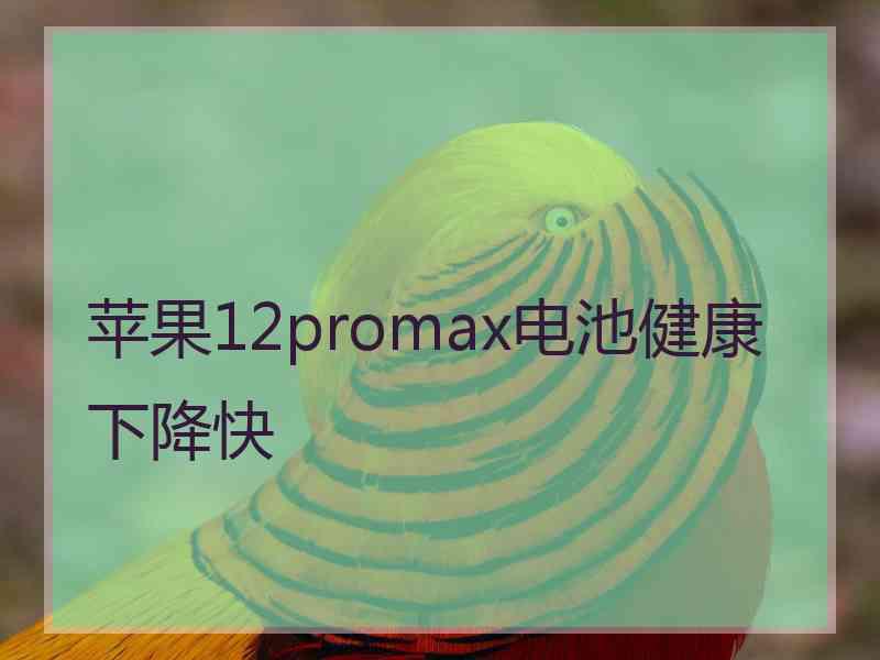 苹果12promax电池健康下降快